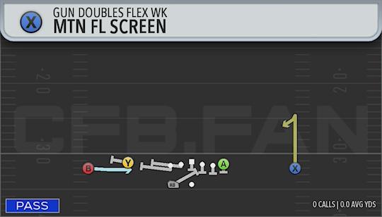 MTN FL SCREEN