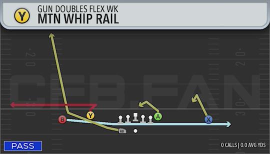 MTN WHIP RAIL