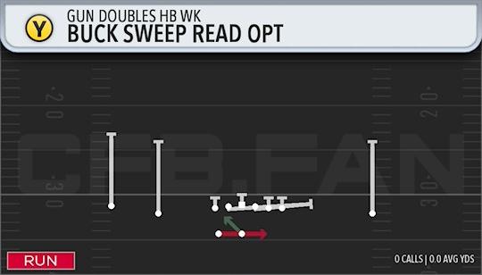 BUCK SWEEP READ OPT