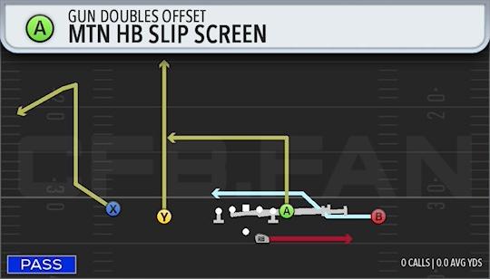 MTN HB SLIP SCREEN