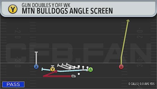 MTN BULLDOGS ANGLE SCREEN
