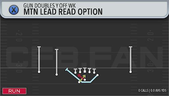 MTN LEAD READ OPTION