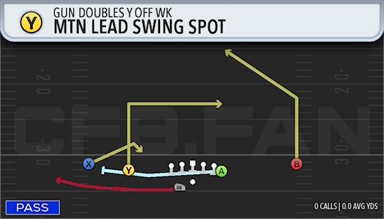 MTN LEAD SWING SPOT