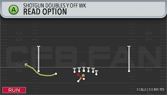 READ OPTION