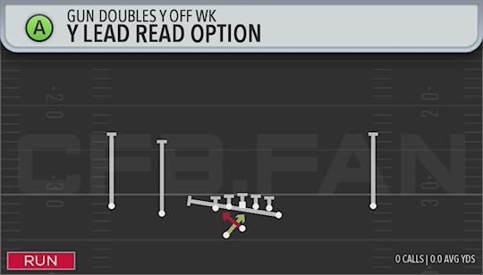 Y LEAD READ OPTION