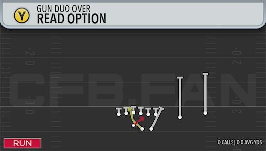 READ OPTION