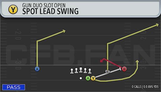 SPOT LEAD SWING