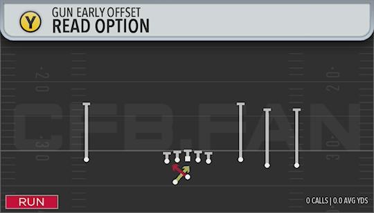 READ OPTION