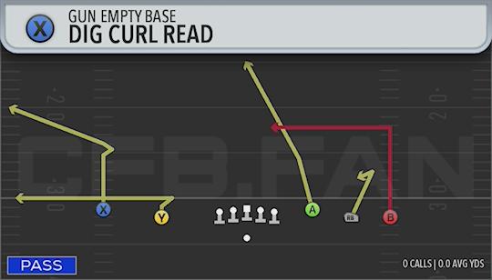 DIG CURL READ