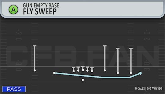 FLY SWEEP