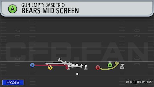 BEARS MID SCREEN