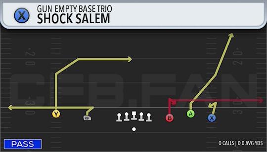 SHOCK SALEM