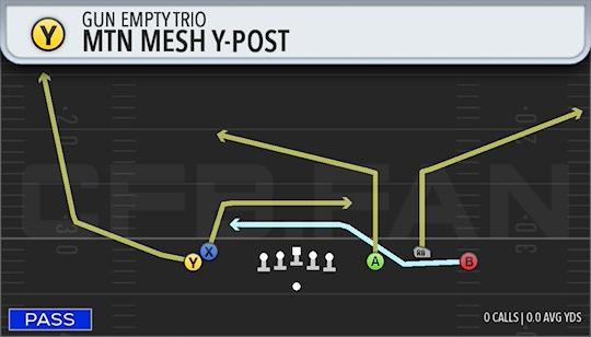 MTN MESH Y-POST