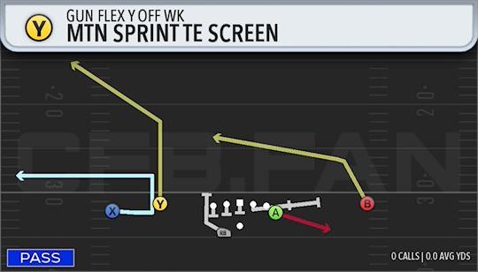 MTN SPRINT TE SCREEN