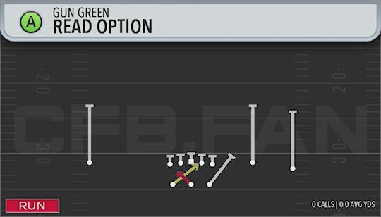 READ OPTION