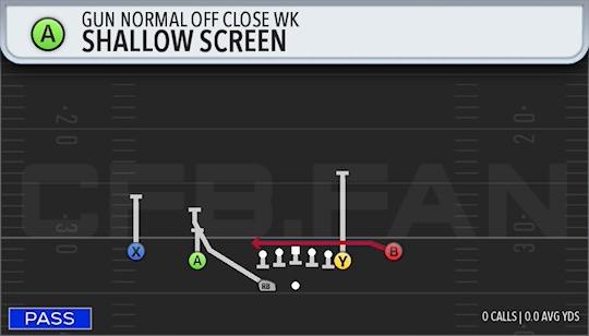 SHALLOW SCREEN