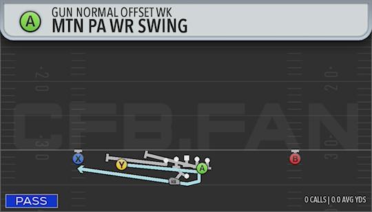 MTN PAWR SWING
