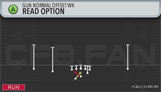 READ OPTION