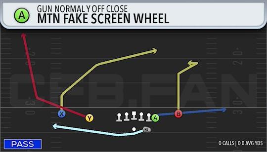 MTN FAKE SCREEN WHEEL