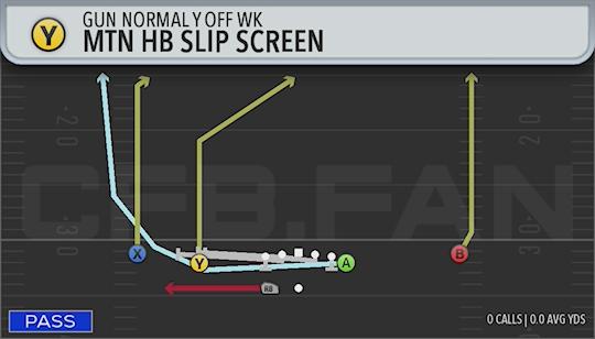MTN HB SLIP SCREEN