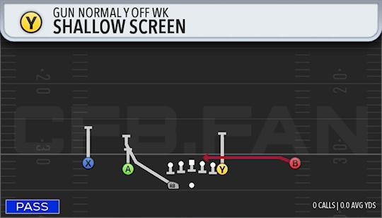 SHALLOW SCREEN