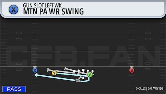 MTN PAWR SWING