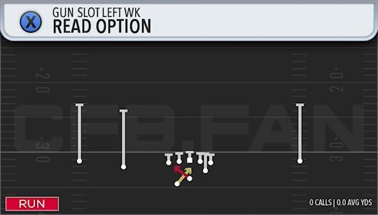 READ OPTION