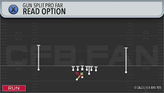 READ OPTION