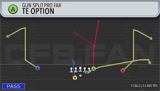 TE OPTION