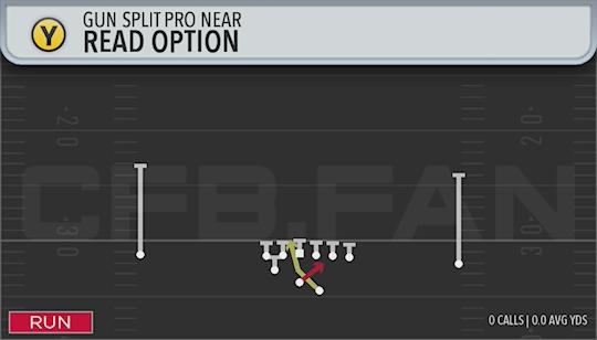 READ OPTION