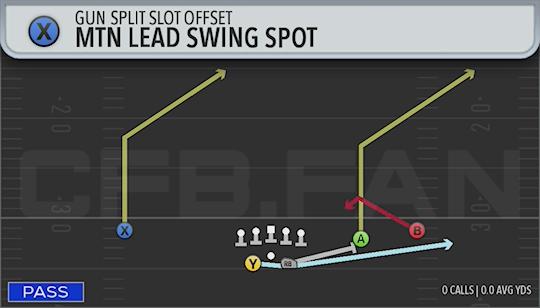 MTN LEAD SWING SPOT