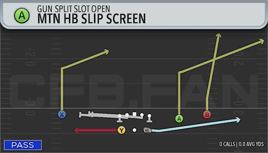 MTN HB SLIP SCREEN