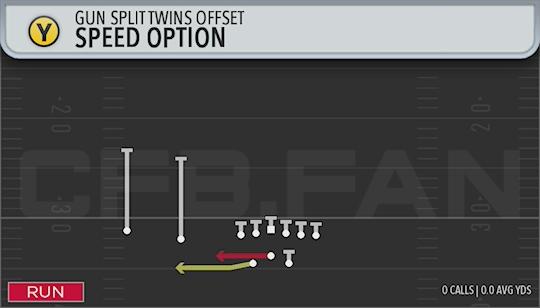 SPEED OPTION