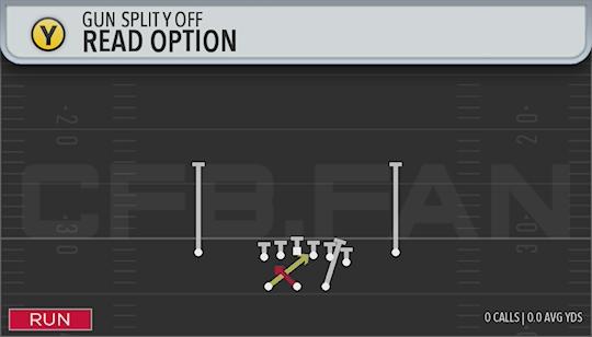 READ OPTION