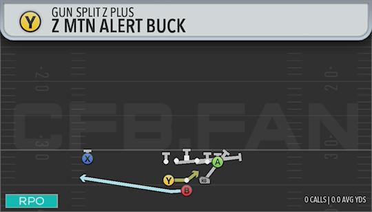Z MTN ALERT BUCK