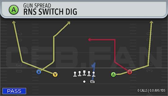 RNS SWITCH DIG