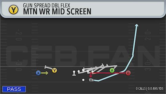 MTN WR MID SCREEN