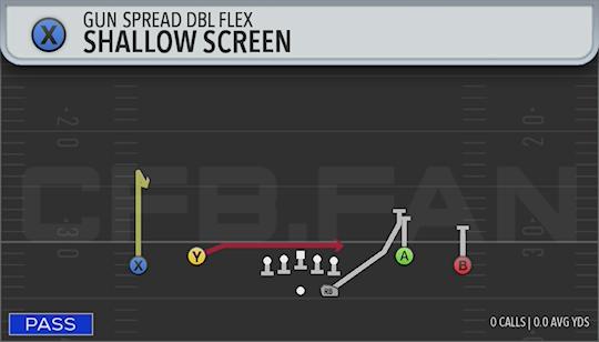 SHALLOW SCREEN