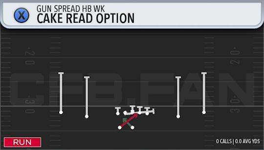 CAKE READ OPTION