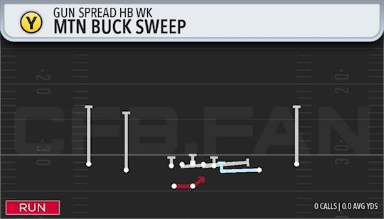 MTN BUCK SWEEP