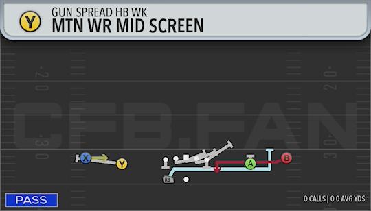 MTN WR MID SCREEN