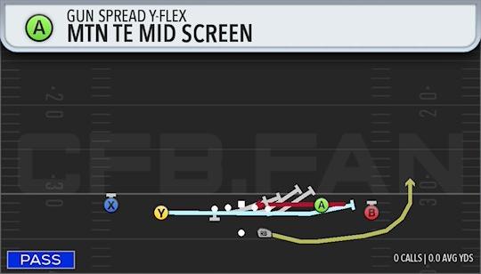 MTN TE MID SCREEN