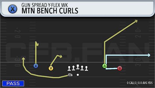 MTN BENCH CURLS