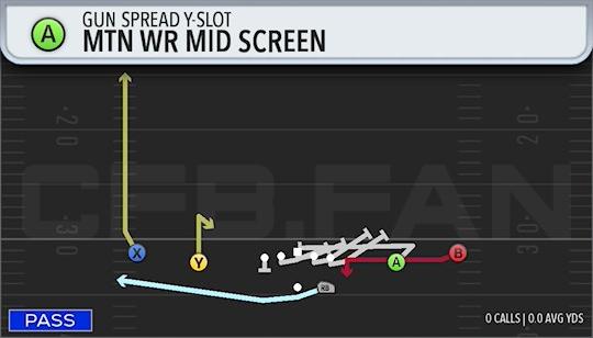 MTN WR MID SCREEN