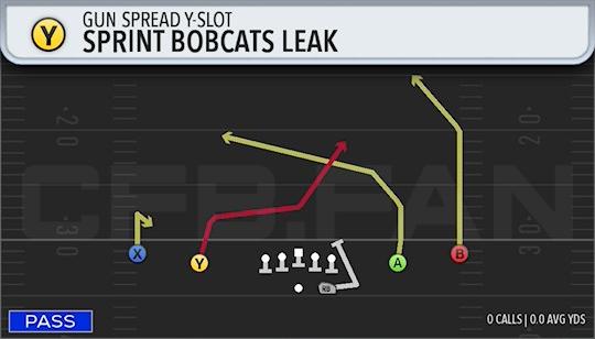 SPRINT BOBCATS LEAK