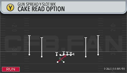 CAKE READ OPTION