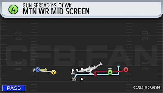 MTN WR MID SCREEN