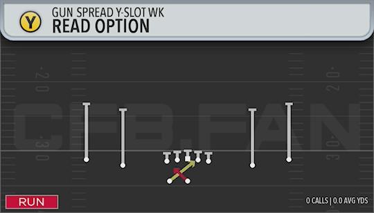 READ OPTION