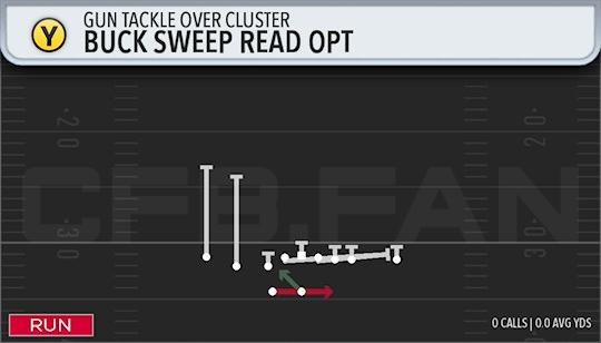 BUCK SWEEP READ OPT