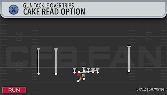 CAKE READ OPTION